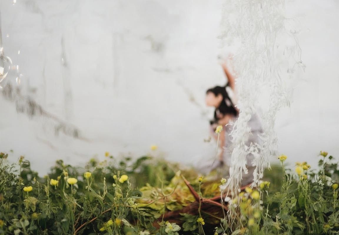 巴西VS澳大利亚：足球历史对决与未来展望(图1)